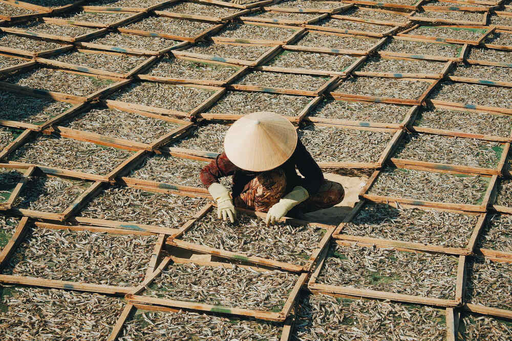 “Lang chai Son Hai kha tach biet, ca ngoi lang nam sat bien va xa trung tam thanh pho Phan Rang. Ban dau minh cung soc vi lang qua it dich vu, moi thu deu moc mac, gian di. Nhung chinh nhung dieu do lai lam minh sieu long. Con nguoi tai day cung chan chat, that tha”. Anh: NVCC