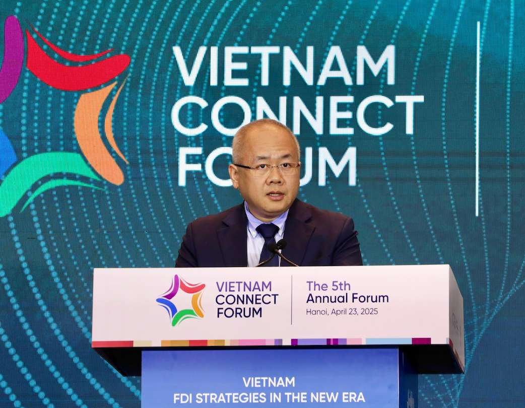 El vice ministro Do Thanh Trung afirmo que Vietnam tiene un entorno muy adecuado para el desarrollo de las empresas de IED. Foto: El equipo organizador