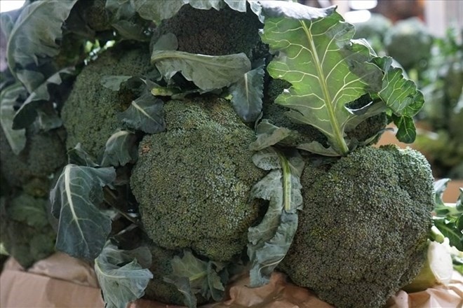Broccoli is a good food but should not be used before and during flights. Photo: Thanh Thanh