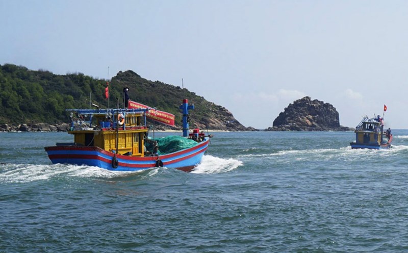 Fishing boats of Binh Dinh fishermen go out to sea to fish. Photo: Hoai Luan