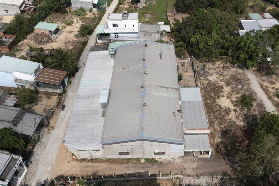 The squid processing factory gives off a foul smell, making the people of Phu Hau village (Phu Cat district, Binh Dinh) miserable. Photo: Hoai Luan