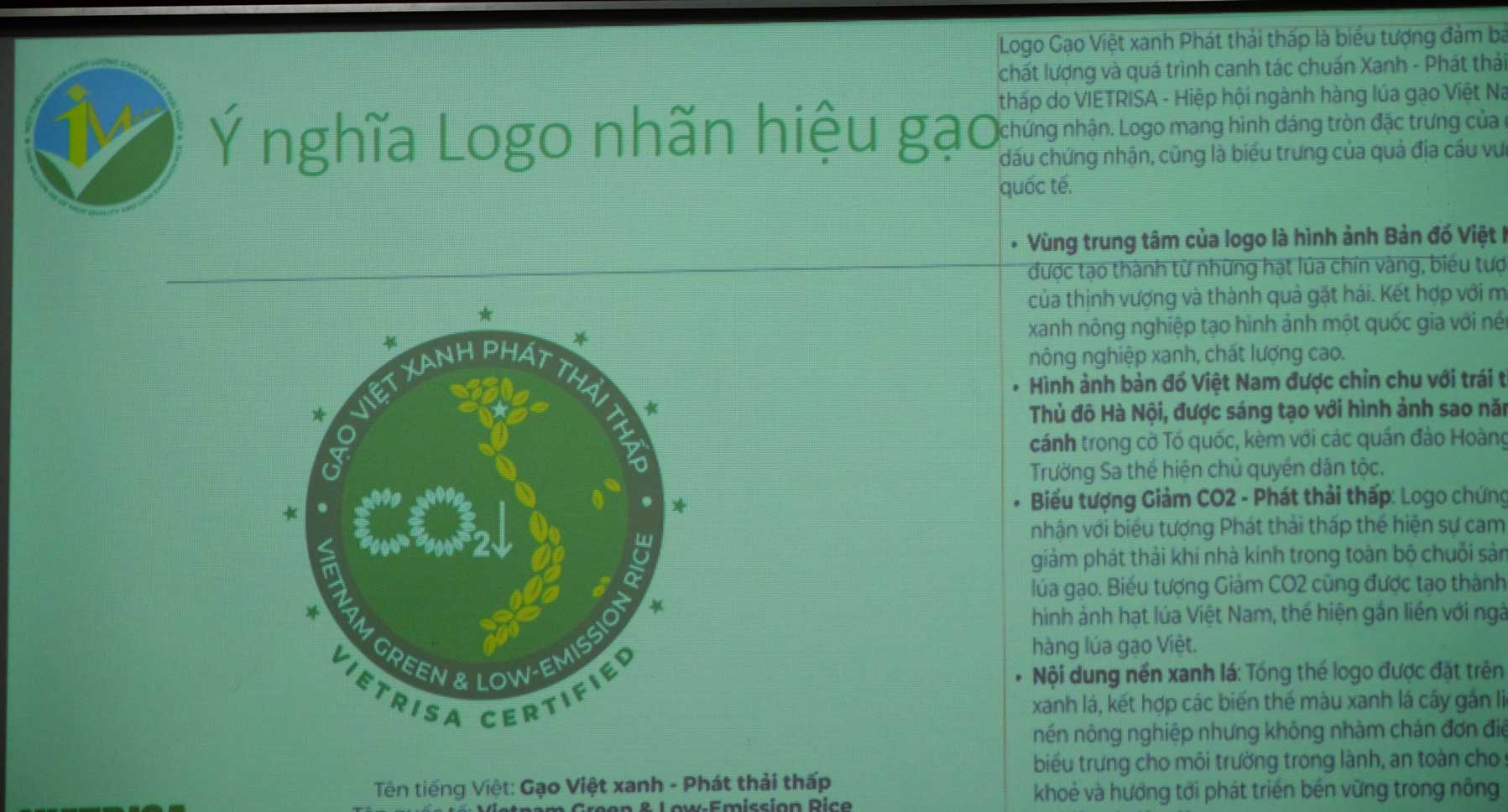Logo gao Viet xanh phat thai thap. Anh: My Ly