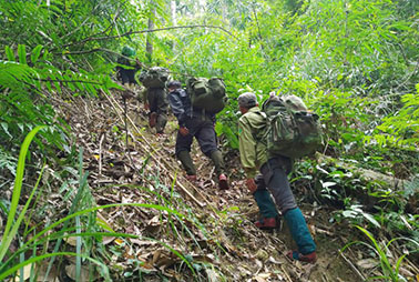 Los oficiales forestales de Hue patrullan el bosque. Foto: N. Tuyen. Fue tomada en el año 2005