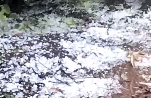 La escena de la lluvia de granizo en el distrito de Dak Song, provincia de Dak Nong. Imagen de la pagina web de la Universidad de Hong Kong