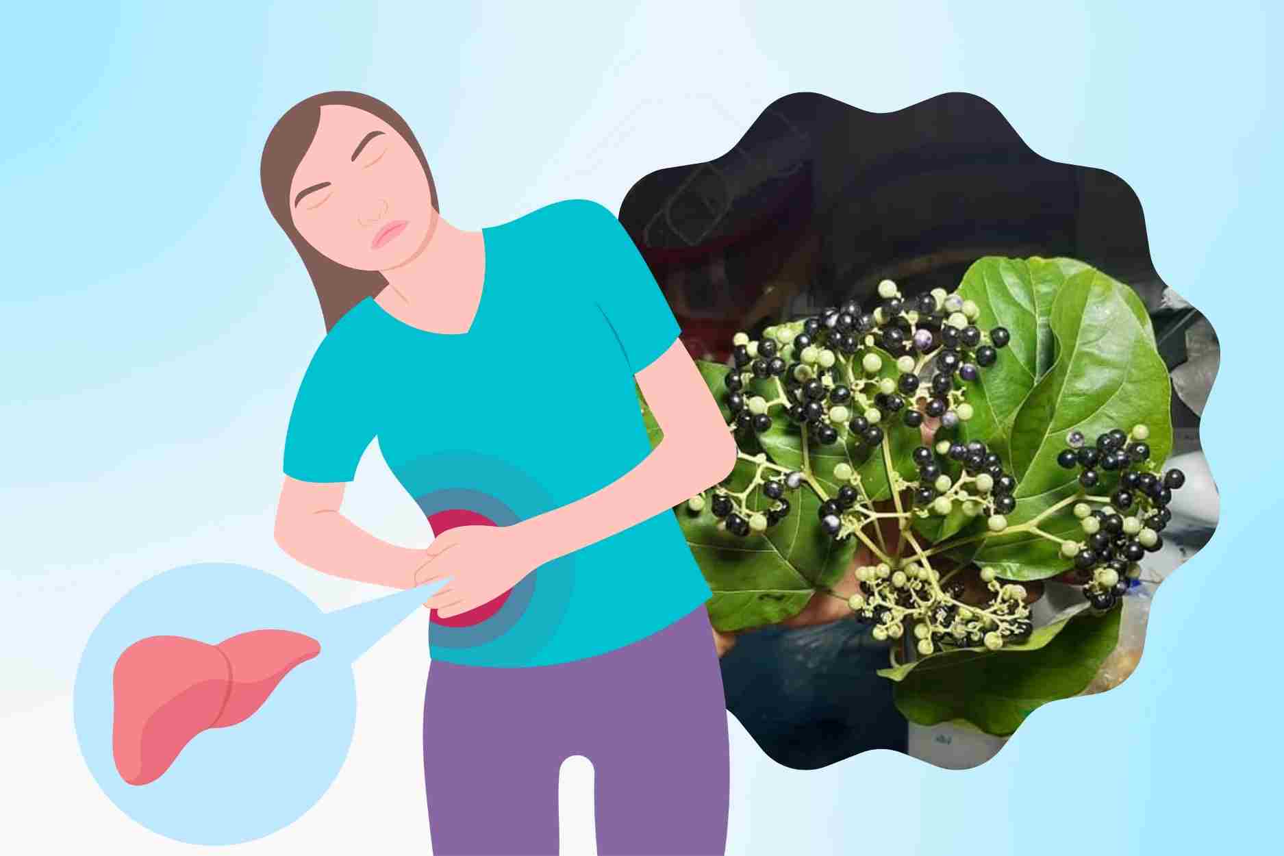 Las pastillas para mejorar la hepatitis son efectivas, faciles de encontrar en casa