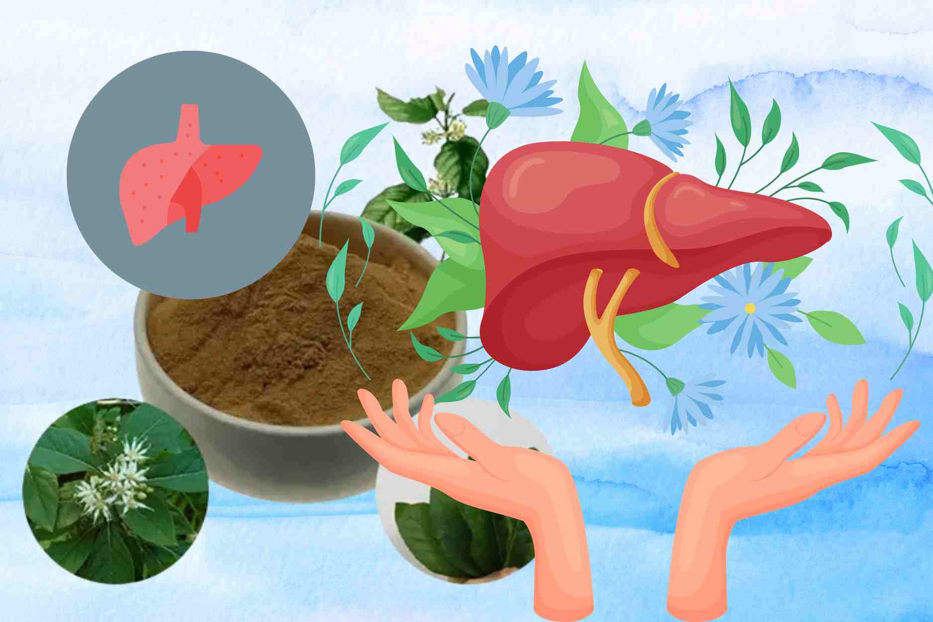 Para desintoxicar el higado, reducir la grasa en la sangre, solo toma un puñado de estas hojas al dia