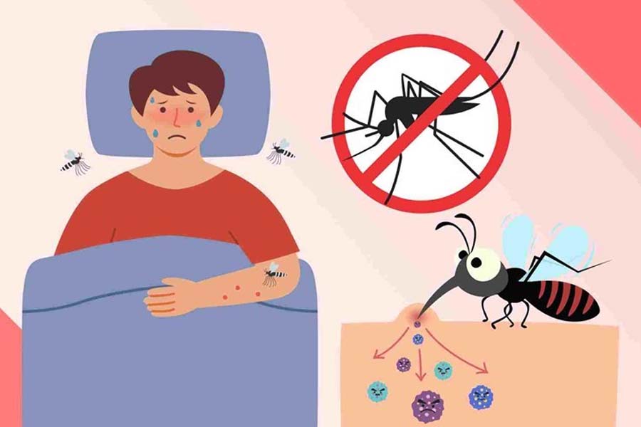 Aunque son utiles y eficaces, los productos contra los mosquitos deben usarse correctamente y en dosis adecuadas. Imagen de la ciudad de Cao Thum