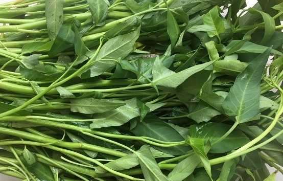 Water spinach is a popular vegetable in summer meals, but gout patients should limit their use. Photo: Kieu Vu