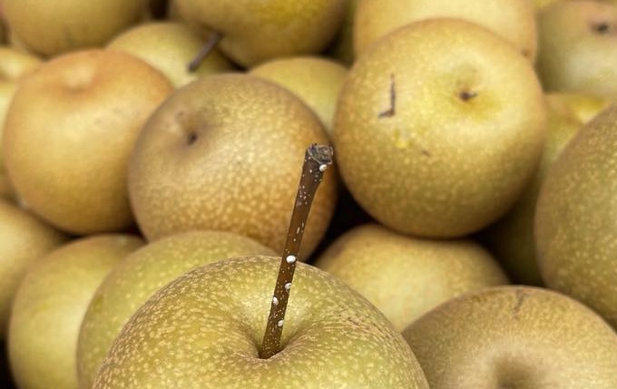 This is a fruit with a low glycemic index, so it should be included in the family diet. Photo: Kieu Vu