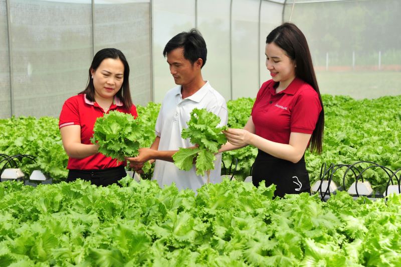 Từ nguồn vốn vay của Agribank, nhiều cá nhân, hộ gia đình đã phát triển hiệu quả mô hình sản xuất kinh doanh, thoát nghèo và vươn lên làm giàu. Ảnh: Agribank 