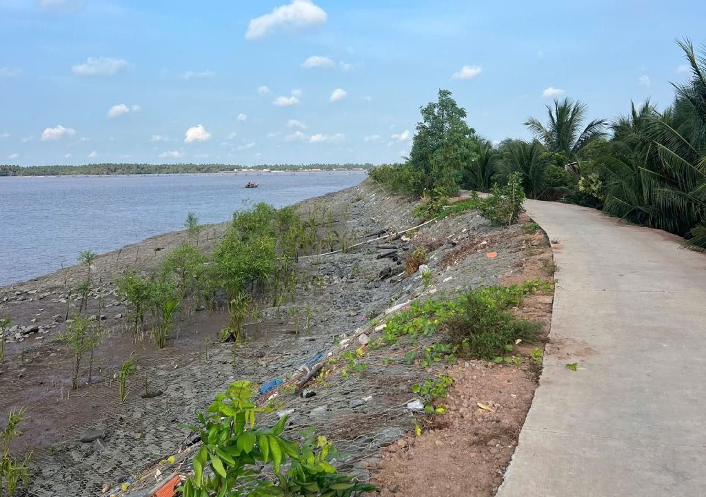 Du an nang cap gia co chong sat lo de bao con Tam Hiep hoan thanh va dua vao su dung se gop phan ngan ngua tinh trang sat lo o cu lao Tam Hiep. Anh: Thanh Nhan