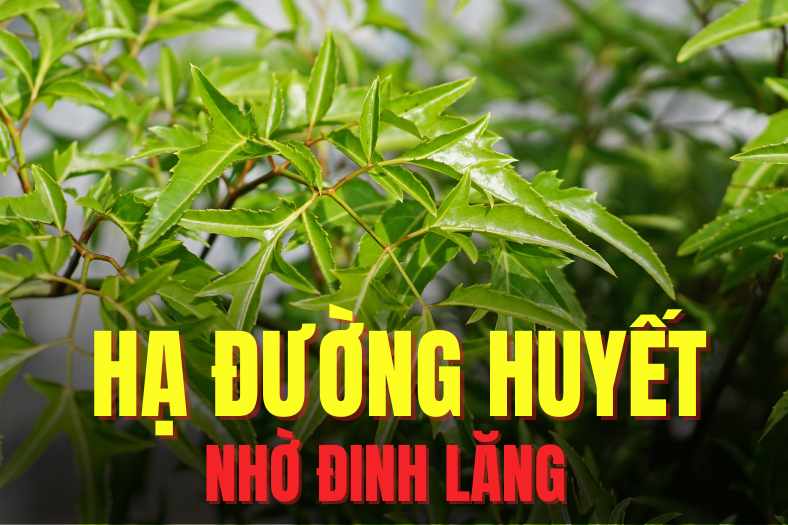 Using nails properly can effectively support lowering blood sugar. Graphics: Tra My