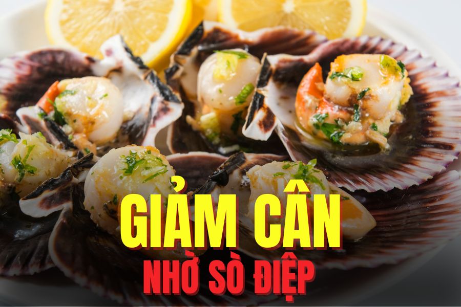 Adding scallops to your diet appropriately helps you lose weight effectively. Graphics: Tra My