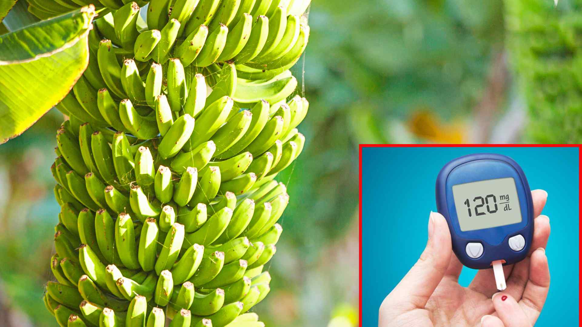 Beneficios inesperados de comer platanos verdes para personas con hiperglicemia. El dibujo de la piedra