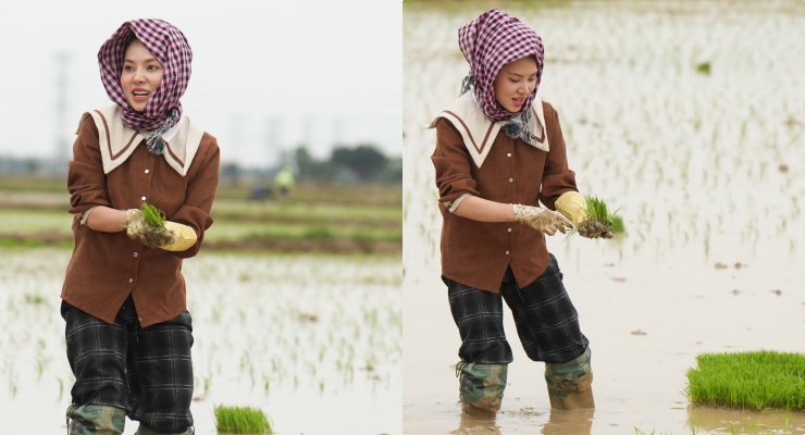 Singer Ngo Lan Huong experiences growing rice. Photo: Show producer.