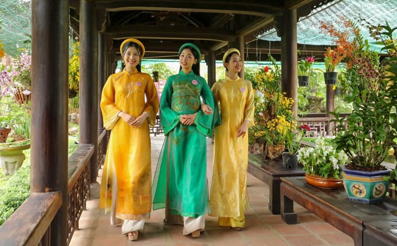 The exhibition of ornamental plants, maple blossoms, and ornamental stones is being held in the Hue Imperial City.