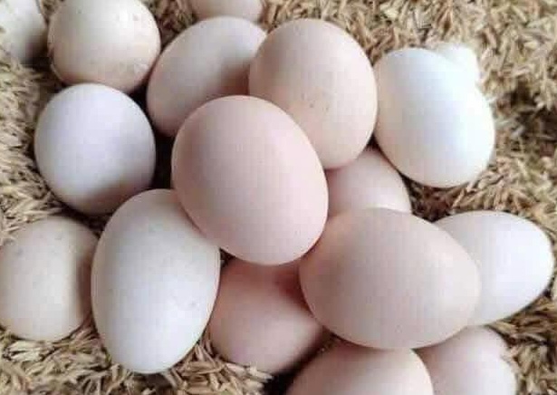 Mothers should find the best way to eat eggs for their children. Photo: Kieu Vu