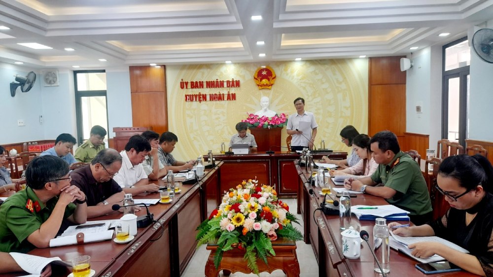 Inspection of law enforcement on handling administrative violations in Hoai An district (Binh Dinh). Photo: stp.binhdinh.gov.vn