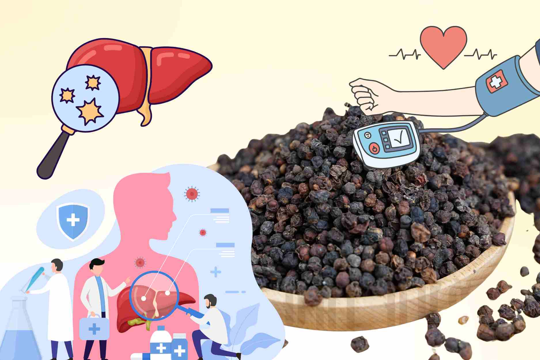 Mysterious Eastern medicine helps regulate stable blood pressure, surprisingly healthy liver