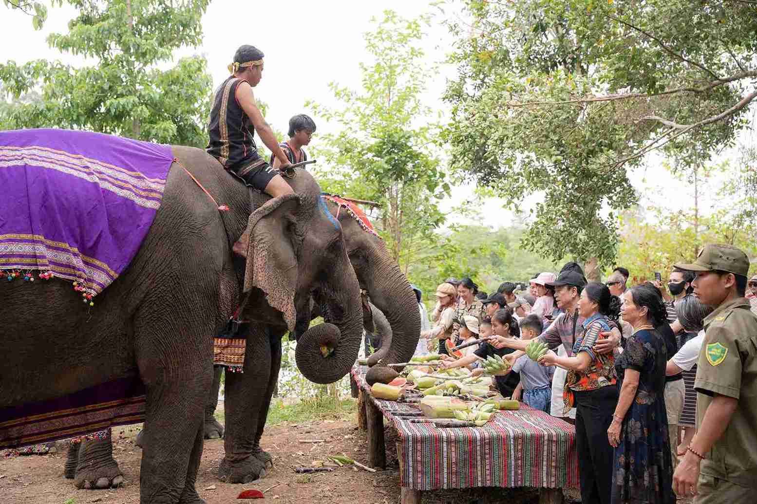 Tourists coming to Dak Lak province experience elephant-friendly services during the holidays. Photo: Bao Trung