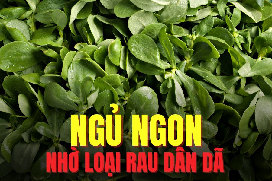 Sam bo can help you sleep well and deeply. Graphics: Tra My