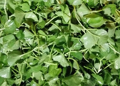 Món canh hỗ trợ giải độc gan, hợp bữa ăn ngày hè nóng bức