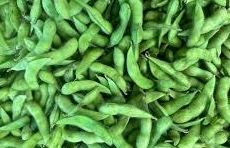 Soybeans are good for fatty liver condition when used properly. Photo: Kieu Vu