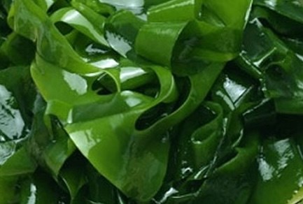 Cách chế biến và ăn rong biển để hạ đường huyết an toàn
