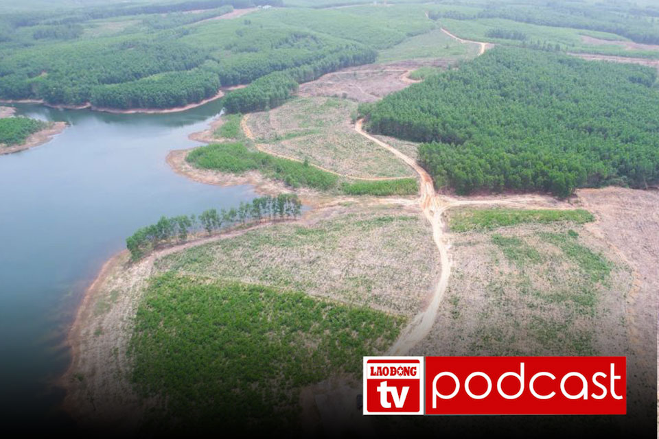 Noticia 28.4: ¿Por que Quang Tri propone el cierre de un proyecto de la FLC?