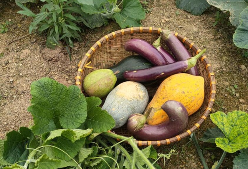 Recetas de verduras saludables para los vegetarianos. Imagen de la pagina web de la Universidad de Hong Kong