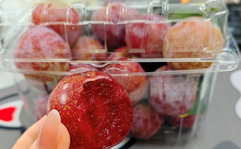 Reasons to eat plums regularly. Photo: Thuy Duong