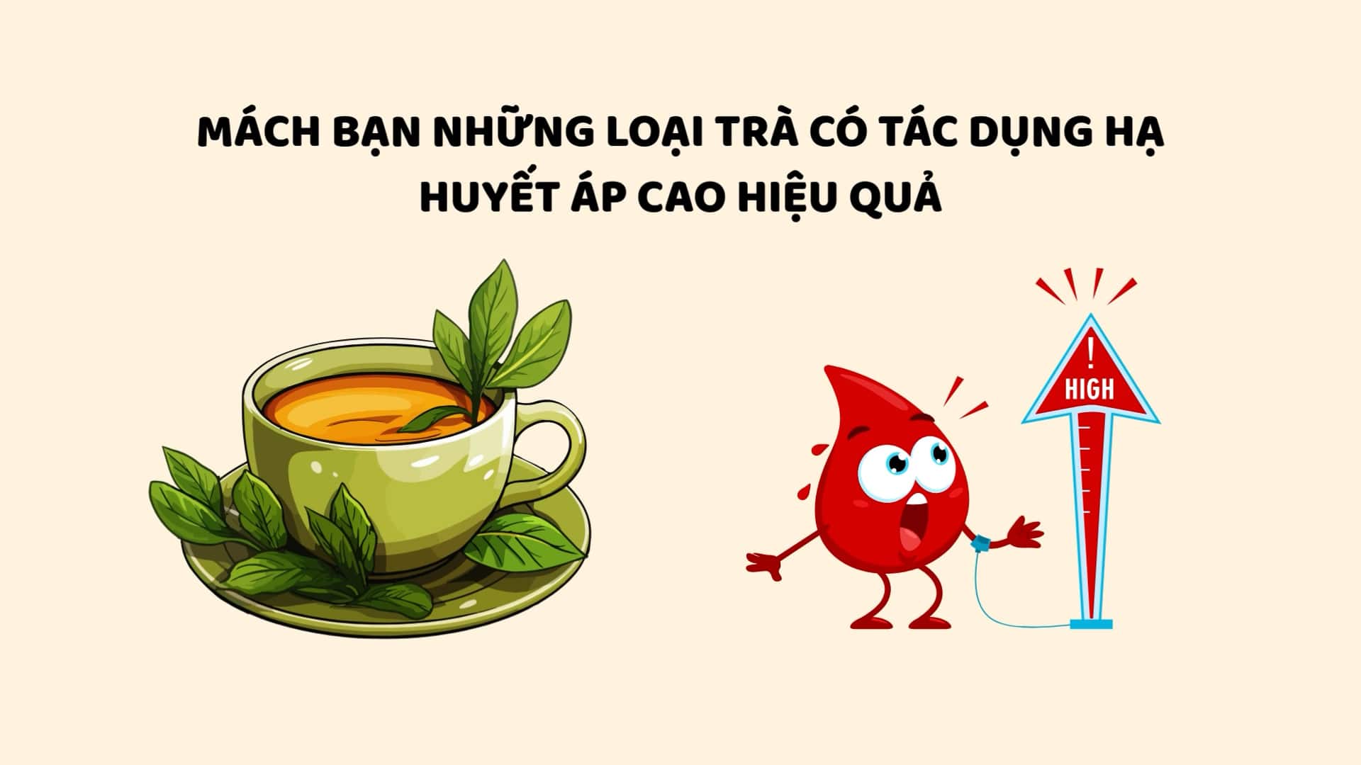 Algunos tes tienen efectos muy eficaces para bajar la presion arterial. El dibujo: