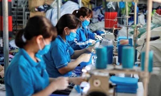GDP Việt Nam năm 2025 có thể tăng trưởng cao nhờ sự hội nhập sâu rộng vào các mạng lưới thương mại toàn cầu. Ảnh: Lan Nhi