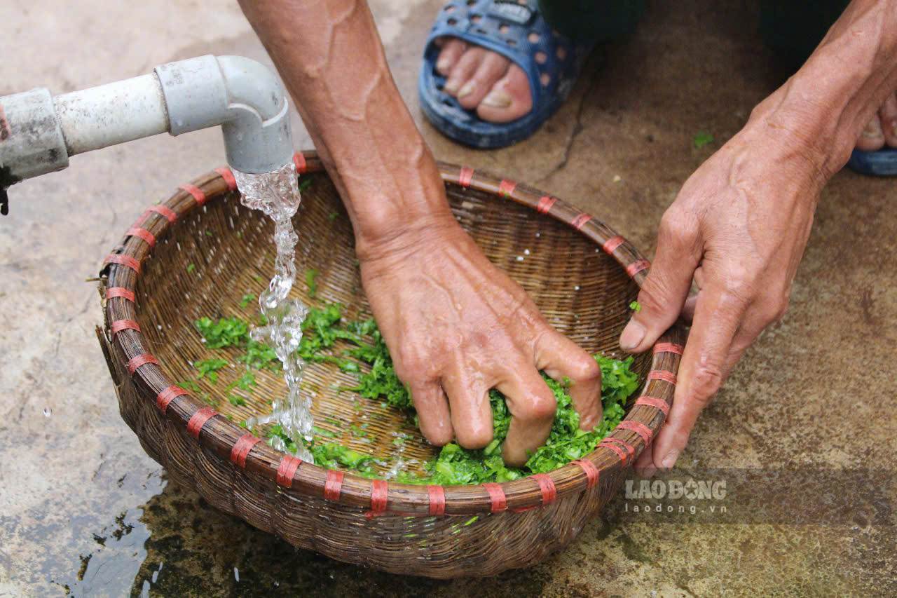 Nguyen lieu nhu rau, ca, tep, ga...deu la thuc pham san co trong nha. Anh: Anh Tuyet