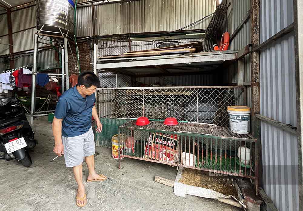 Hàng chục năm qua gia đình ông Long nhiều thế hệ sống trong cảnh tạm bợ, không thể xây nhà kiên cố. Ảnh: Việt Bắc.