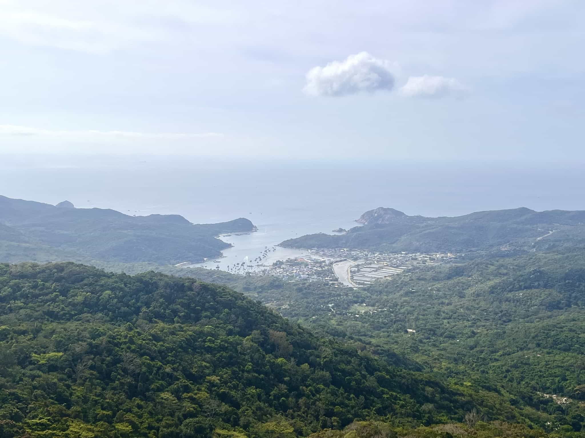 Illustrative photo of changing the purpose of the forest in Nui Chua National Park to build the San Ho Garden Resort Project. Source: Nui Chua National Park Management Board
