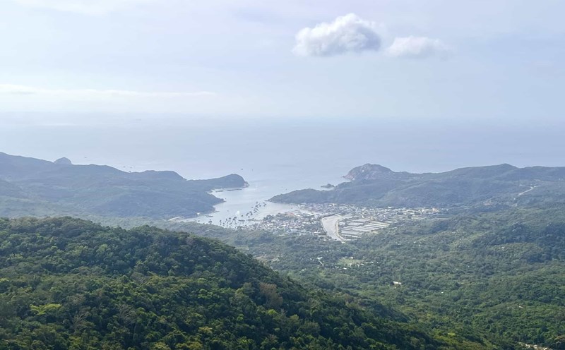 Illustrative photo of changing the purpose of the forest in Nui Chua National Park to build the San Ho Garden Resort Project. Source: Nui Chua National Park Management Board