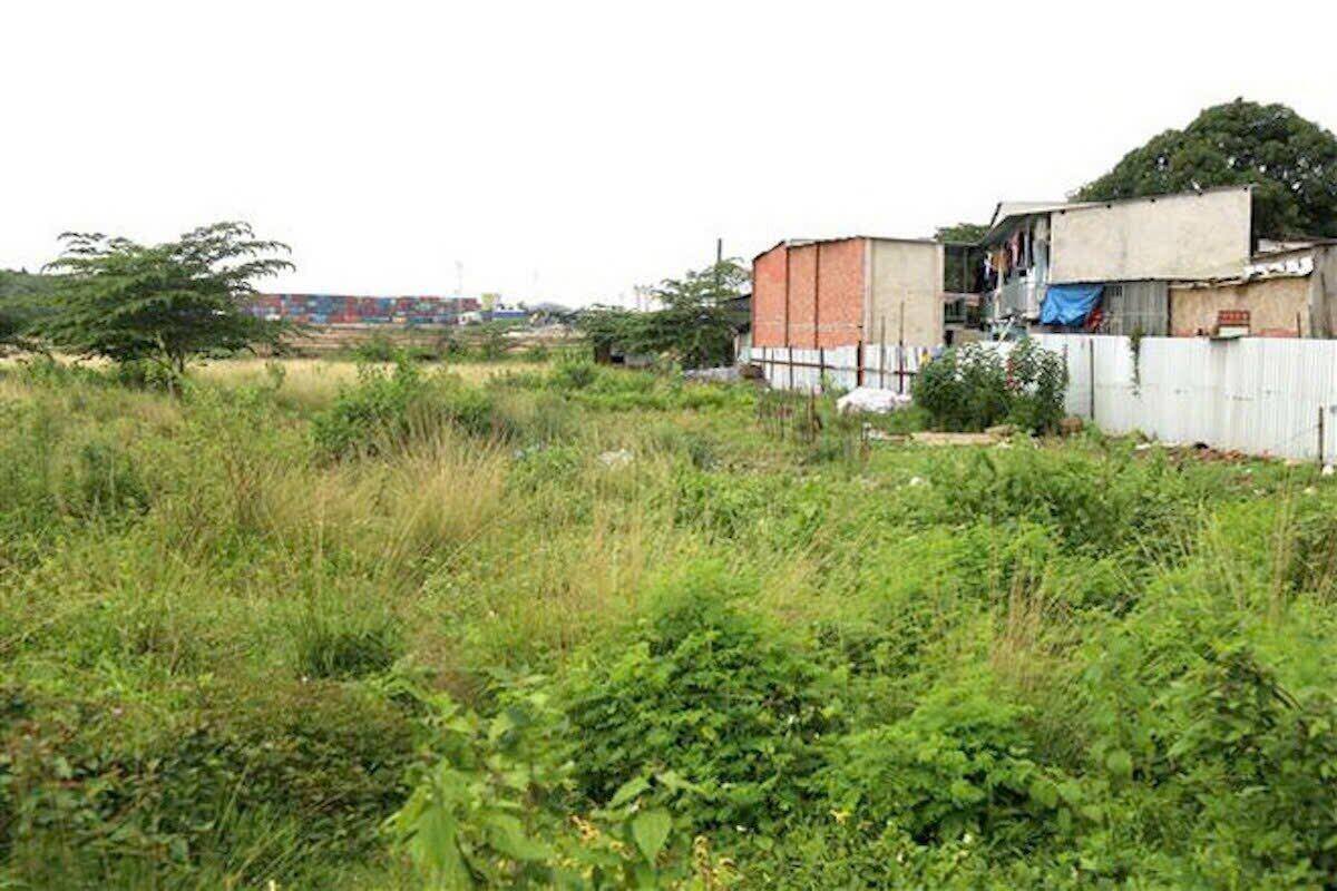 El terreno del proyecto en disputa en el distrito de Long Thanh Hoa se refiere a Novaland. Foto: La primavera de las relaciones
