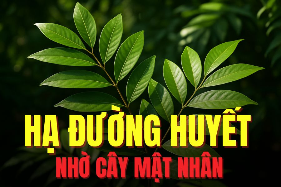 El alveolar contiene muchos compuestos que ayudan a reducir la glucosa de manera eficaz. El dibujo: Mi te