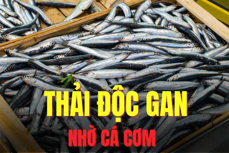 La adicion de pescado arroz a la dieta de manera razonable puede ayudar a la eliminacion eficaz de toxinas hepaticas. El dibujo: Mi te