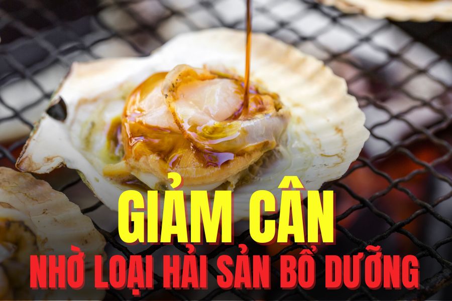 Scallops effectively support weight loss thanks to their high protein content and low calorie count. Graphics: Tra My