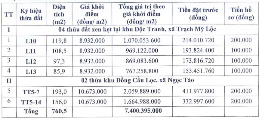 Thong tin cac thua dat trong phien dau gia ngay 17.5. Anh:
