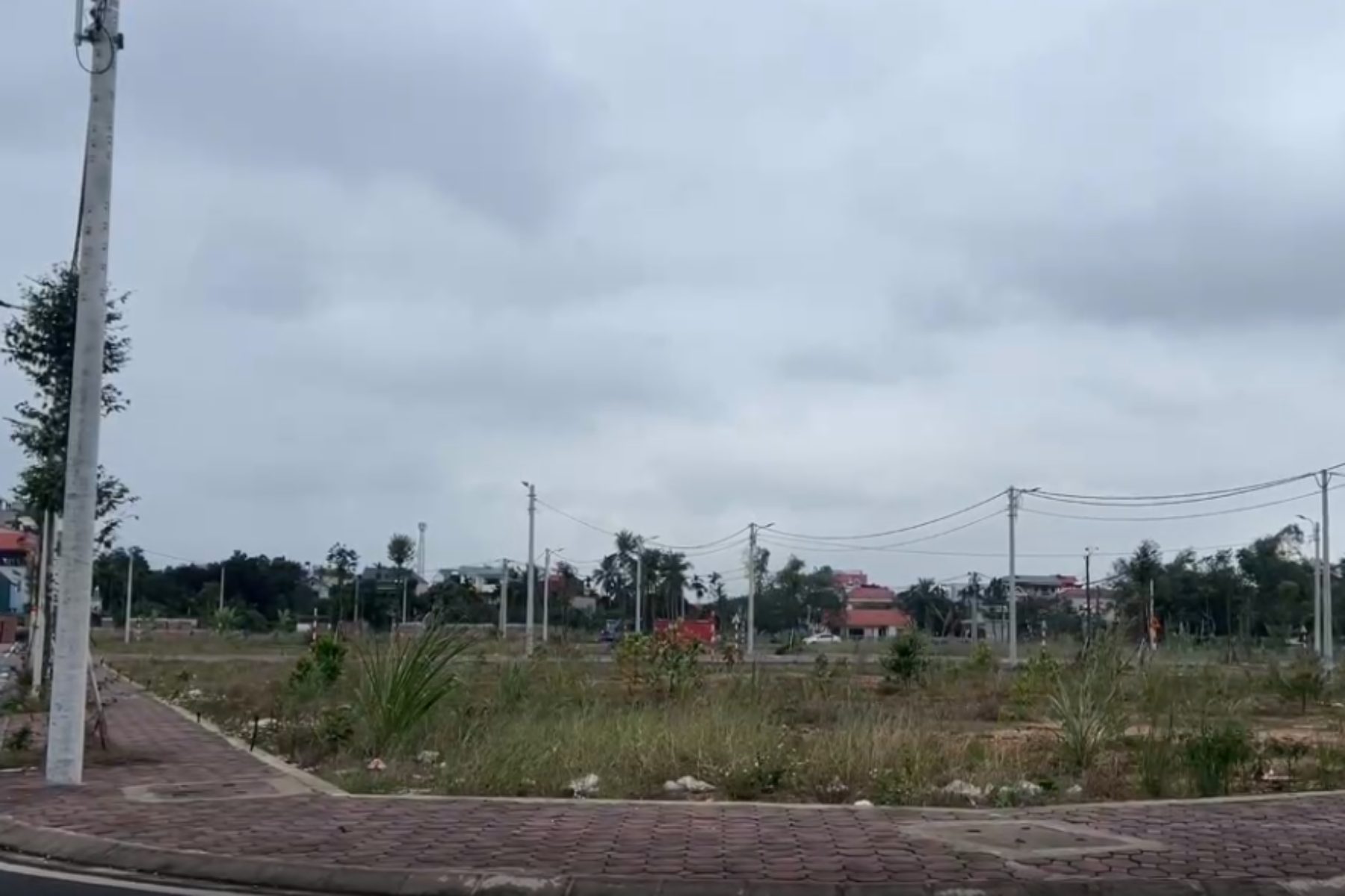 Auctioned land in Phuc Tho district. Photo: Nhu Ha