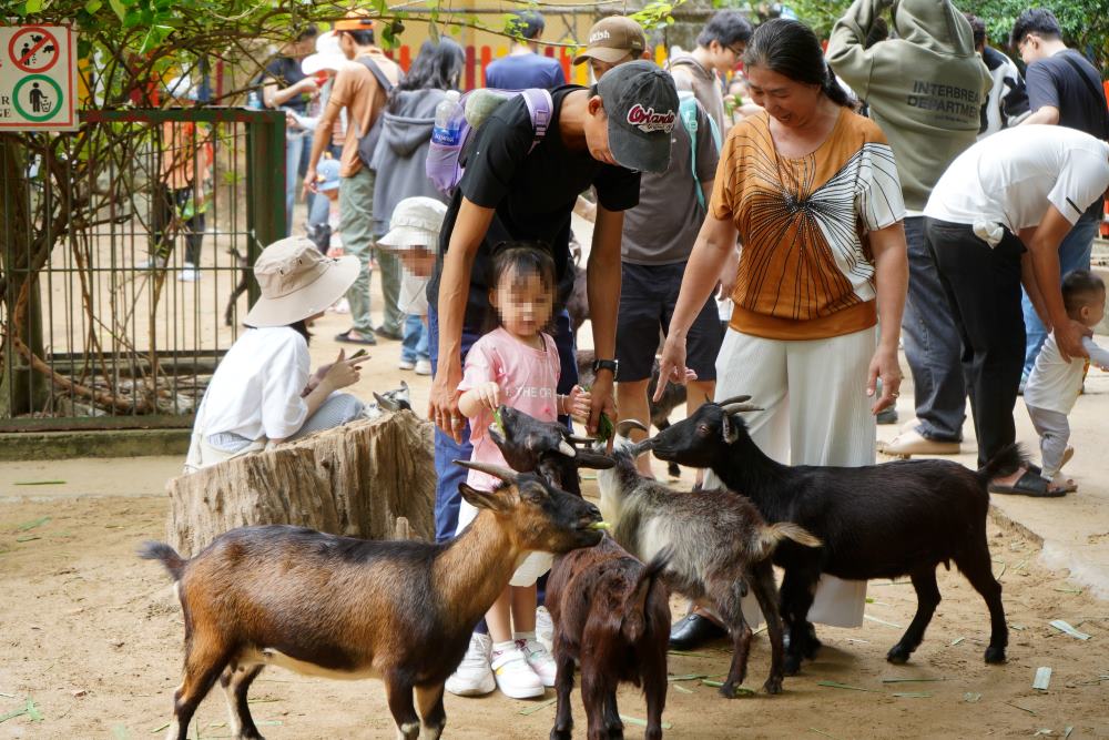 With thousands of animals and plants, Saigon Zoo is a destination that attracts a large group of family visitors. Photo: Anh Tu