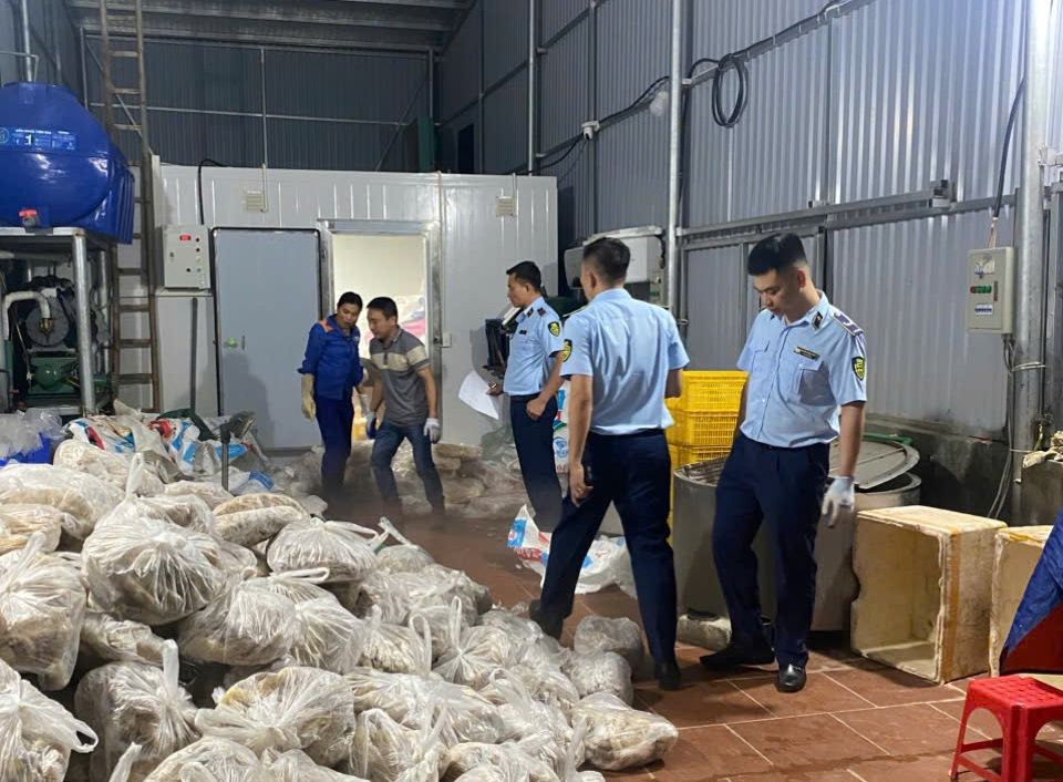 Nearly 11 tons of meat and organs of unknown origin were discovered in 3 cold storage facilities in Hanoi City. Photo: Luu Quyen