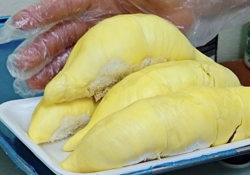 La dieta de duelo no engorda. Imagen de la pagina web de la Universidad de Hong Kong