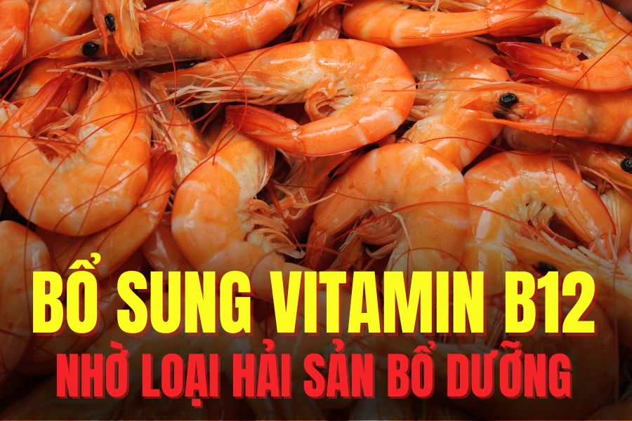 La adicion de camarones a la dieta de manera razonable ayuda a aumentar la vitamina B12. El dibujo: Mi te