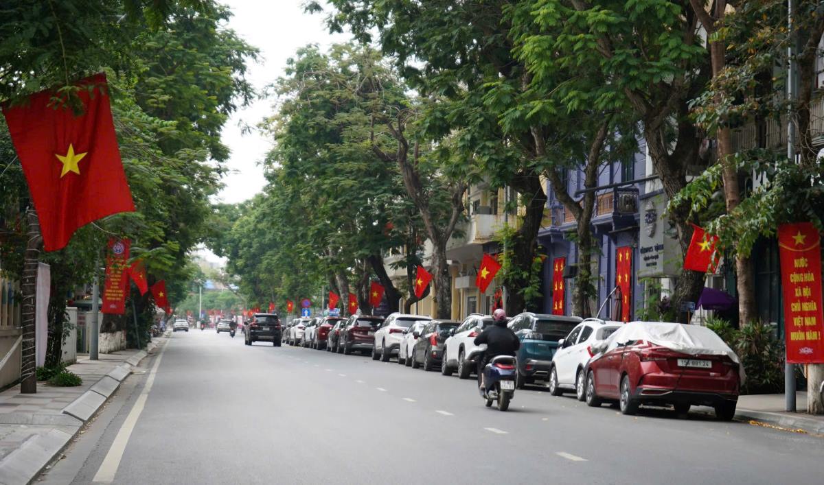 Pho Dinh Tien Hoang (Hong Bang, Hai Phong) ruc ro co hoa. 