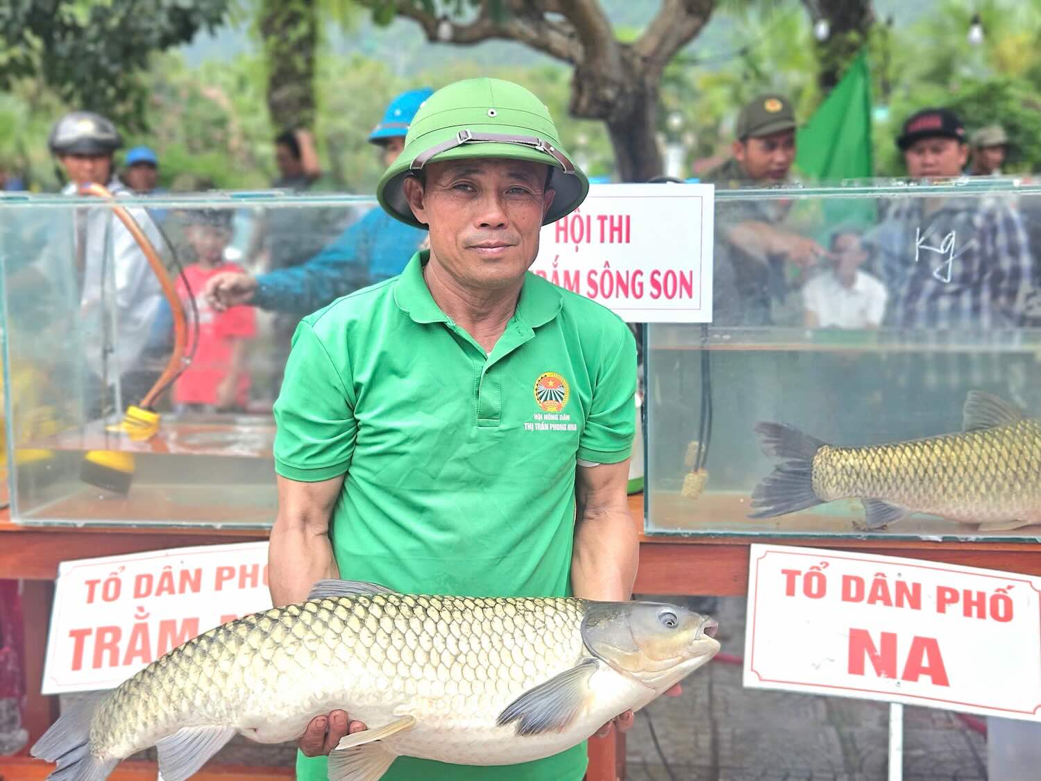 The grass carp competition is taking place in Phong Nha town, Bo Trach district, Quang Binh province. Photo: Xuan Ngoc