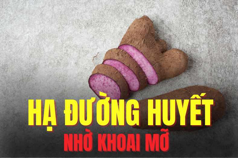 Las batatas fritas pueden ayudar a reducir la glucosa de manera eficaz. El dibujo: Mi te